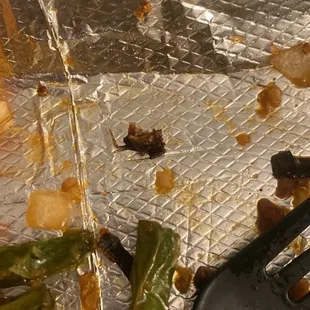 A COOKED ROACH DO NOT EAT HERE!!!!