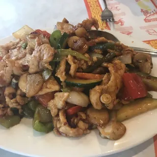 Sichuan Hot Garlic Chicken