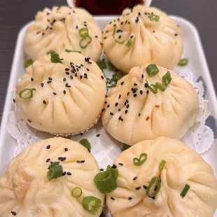Pan Fried Pork Buns