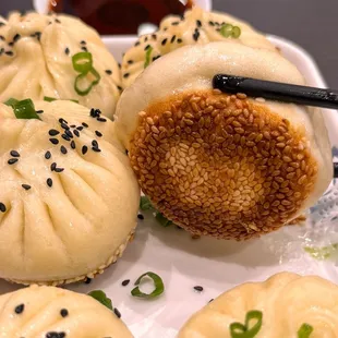 Pan Fried Pork Buns