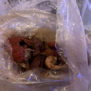 food, mussels, oysters, oysters and mussels, shellfish