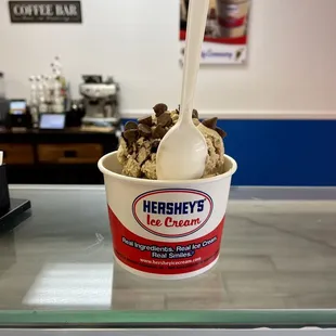 Cookies and Cream with Chocolate Chips