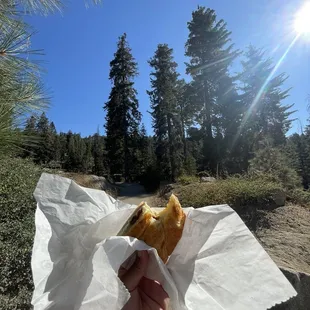 Enjoying my Ham &amp; cheese   at Sequoia