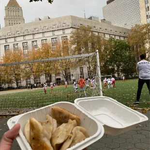 1. Chives and Pork Fried Dumplings