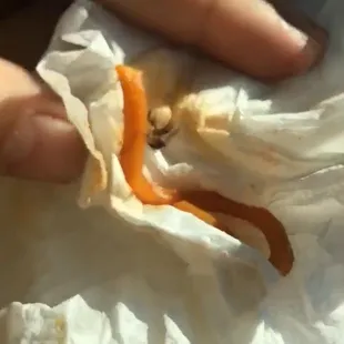 COCKROACHES IN THE FOOD!!!