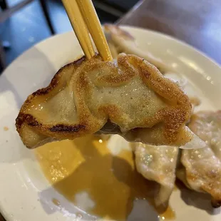 Pan-Fried Chicken &amp; Vegetable Dumpling (look at that crust!)