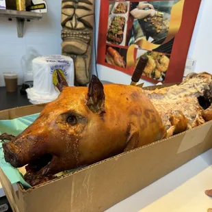 Lechón or roast pig.
