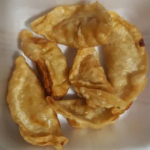 Gyoza