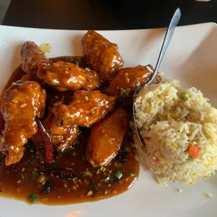 Braised chicken with fried rice