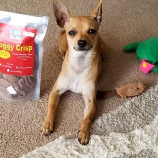 Doggy Crisp Chips