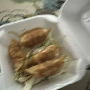 Fried dumplings