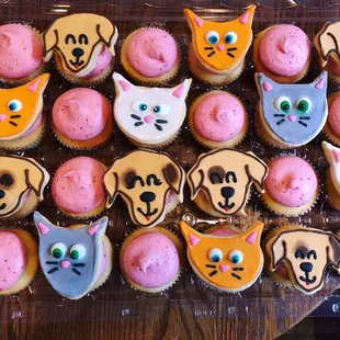 a tray of cupcakes with cats and dogs on them