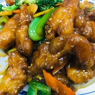 Cantonese Chicken 广东鸡