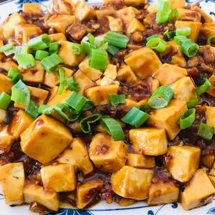 Mapo Tofu with Ground Pork 麻婆豆腐