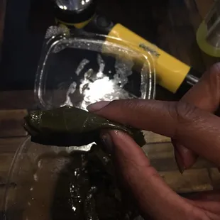 Grape leaves are saggy with no rice inside..