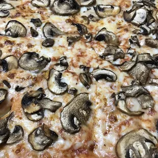 Mushroom Pizza