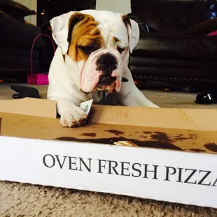 My whole family loves tasty pizza