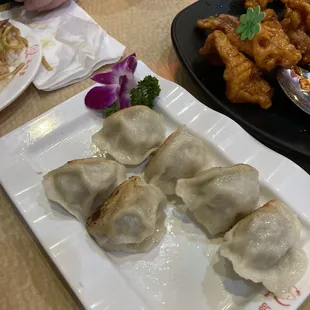 Pan Fried Dumplings