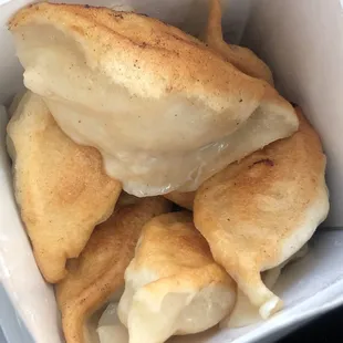 Beef and Onion Dumplings