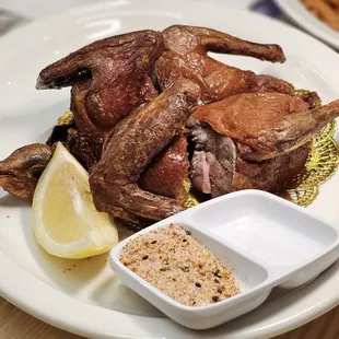 Squab