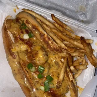 a hot dog and french fries