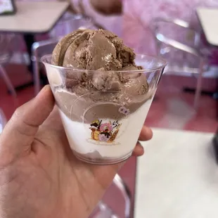 Chocolate and vanilla ice cream
