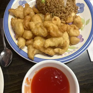 Orange Chicken Nuggets (10 PCs)  Fresh Fried Rice