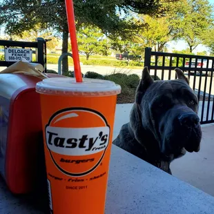 Dog friendly outdoor seating! Roman our Cane Corso pup.