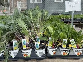 Cirian's Farmers Market