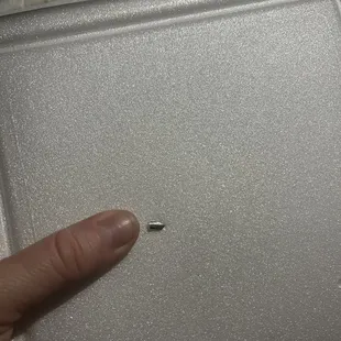 Metal from inside my chicken quesadilla