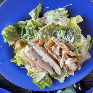 Grilled Chicken Salad