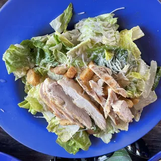 Grilled Chicken Salad
