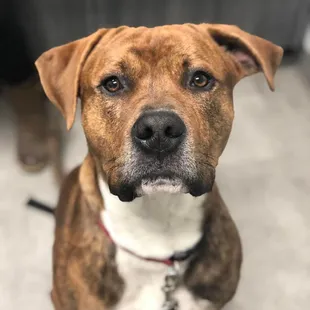 Mercury wanted to drop by and wish everyone a happy Monday! Curing your Monday blues one handsome face at a time.
