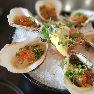 PEI OYSTERS