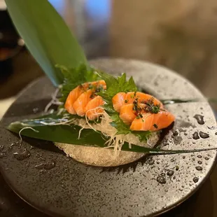 Sake sashimi