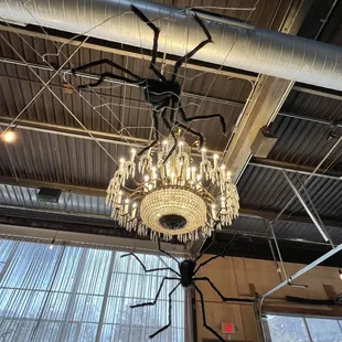 Awesome deco for Halloween!