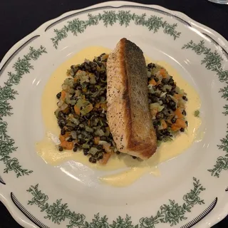 Grilled Salmon Aux Lentils