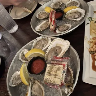 shellfish, food, mussels, oysters and mussels, oysters