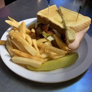a sandwich and french fries on a plate