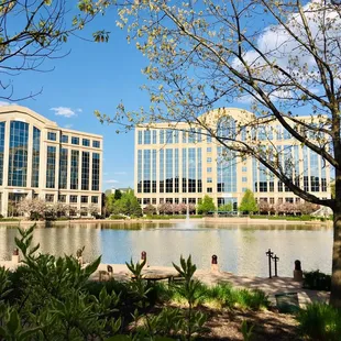 a view of a lake in front of a large building