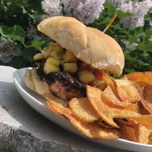 burger, food, burgers