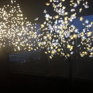 Pretty lights by the jukebox