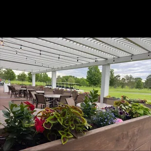 salads, outside