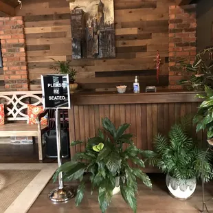 a bar with plants