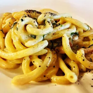 pasta dish, food, pasta