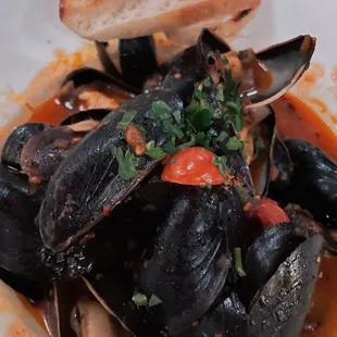 food, mussels, oysters, shellfish, oysters and mussels