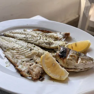 Lavraki (sea bass)