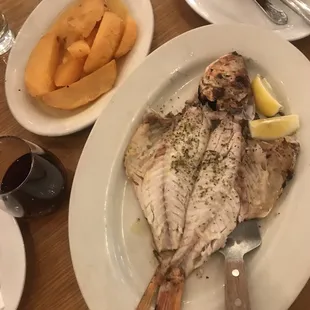 Red Snapper