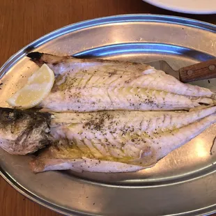 Mediterranean Sea Bass