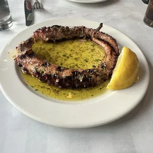 Octopus